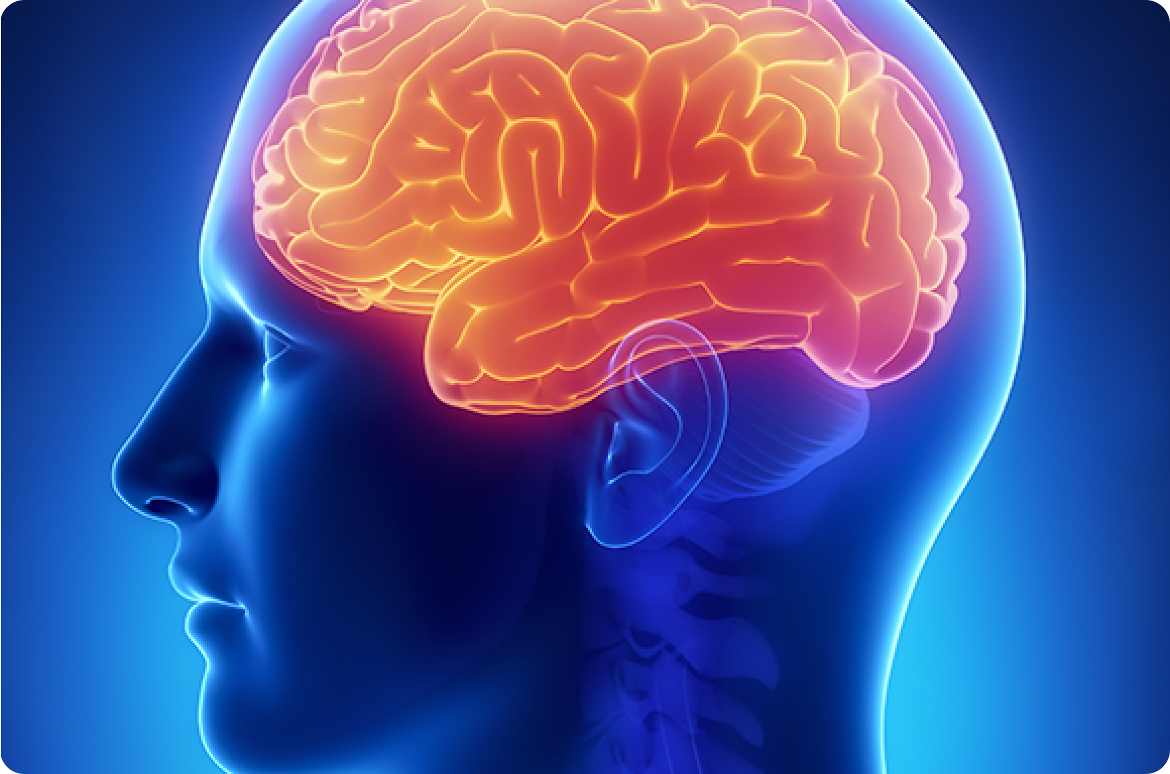 NEW FRONTIERS IN BRAIN HEALTH